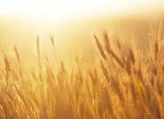 Énergies d’Août 2018